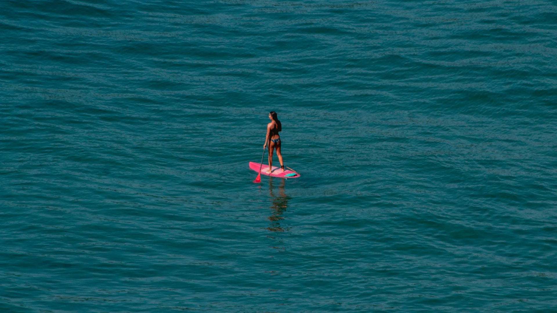 Donna in piedi su una tavola da paddle rosa in mare